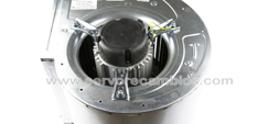 BD motor cerrado